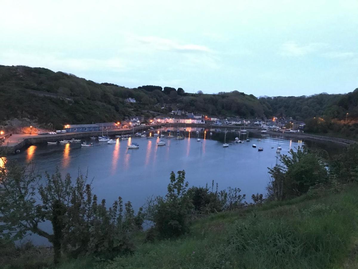 The Ferryboat Hotel Fishguard Exterior photo