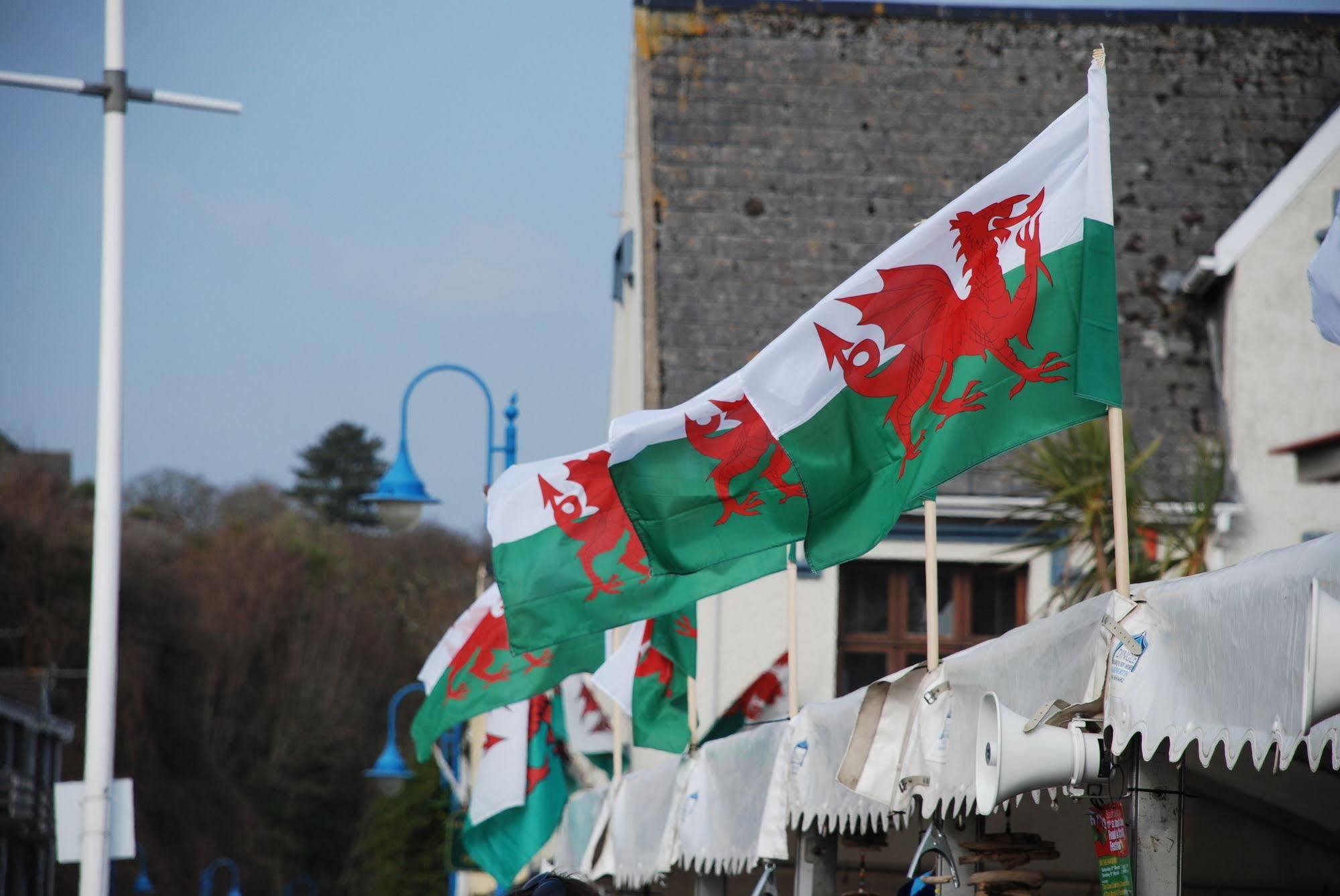 The Ferryboat Hotel Fishguard Exterior photo